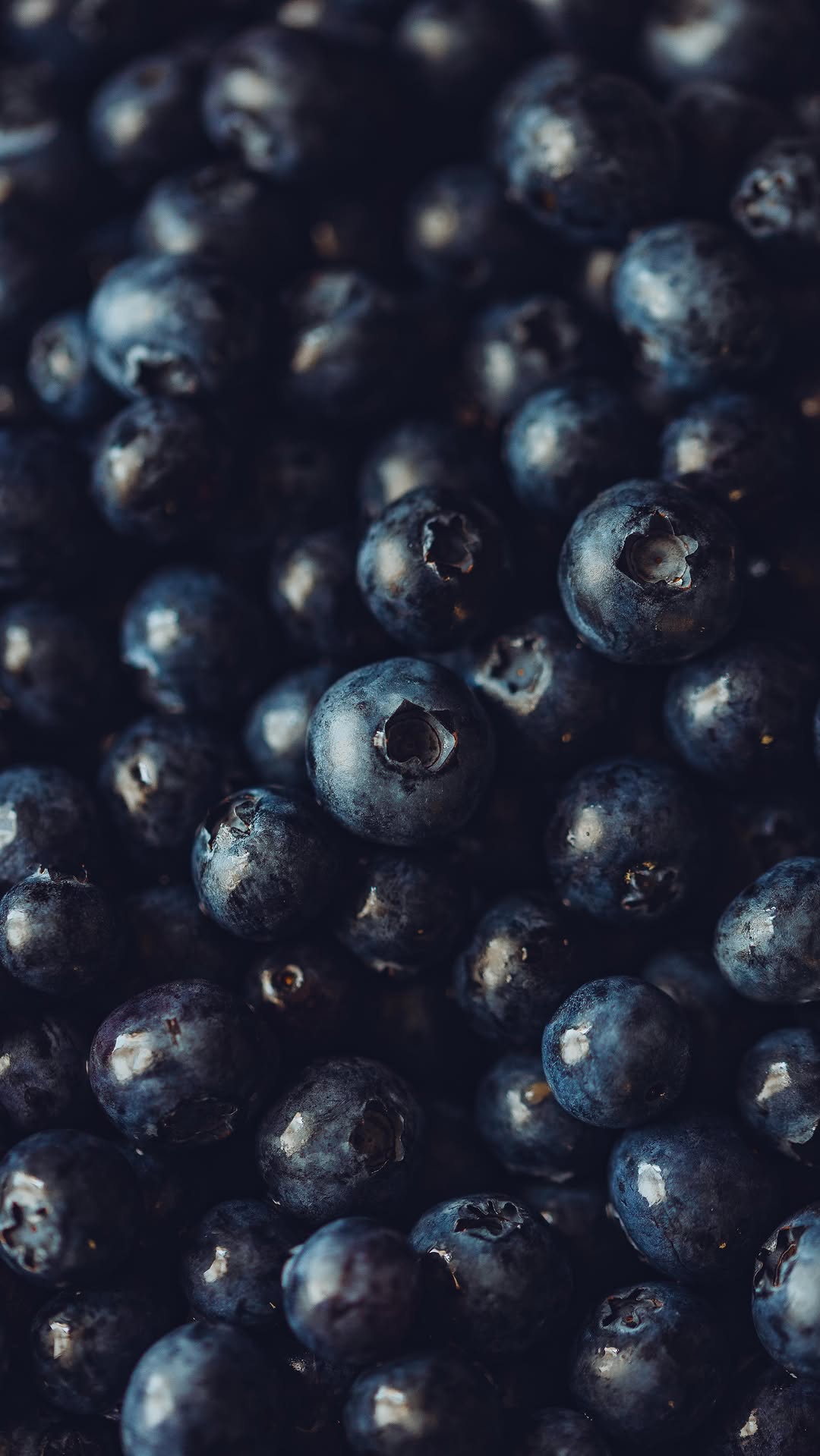Longevità Smart: Gli alimenti che fanno la differenza 1 Longevità Smart: Gli alimenti che fanno la differenza