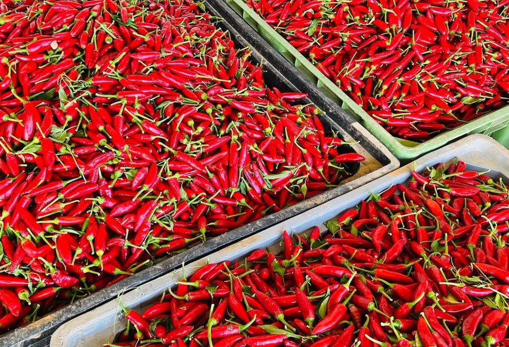 Segreti di Longevità: 5 Superfood Anti-Età da Inserire Subito nella Dieta