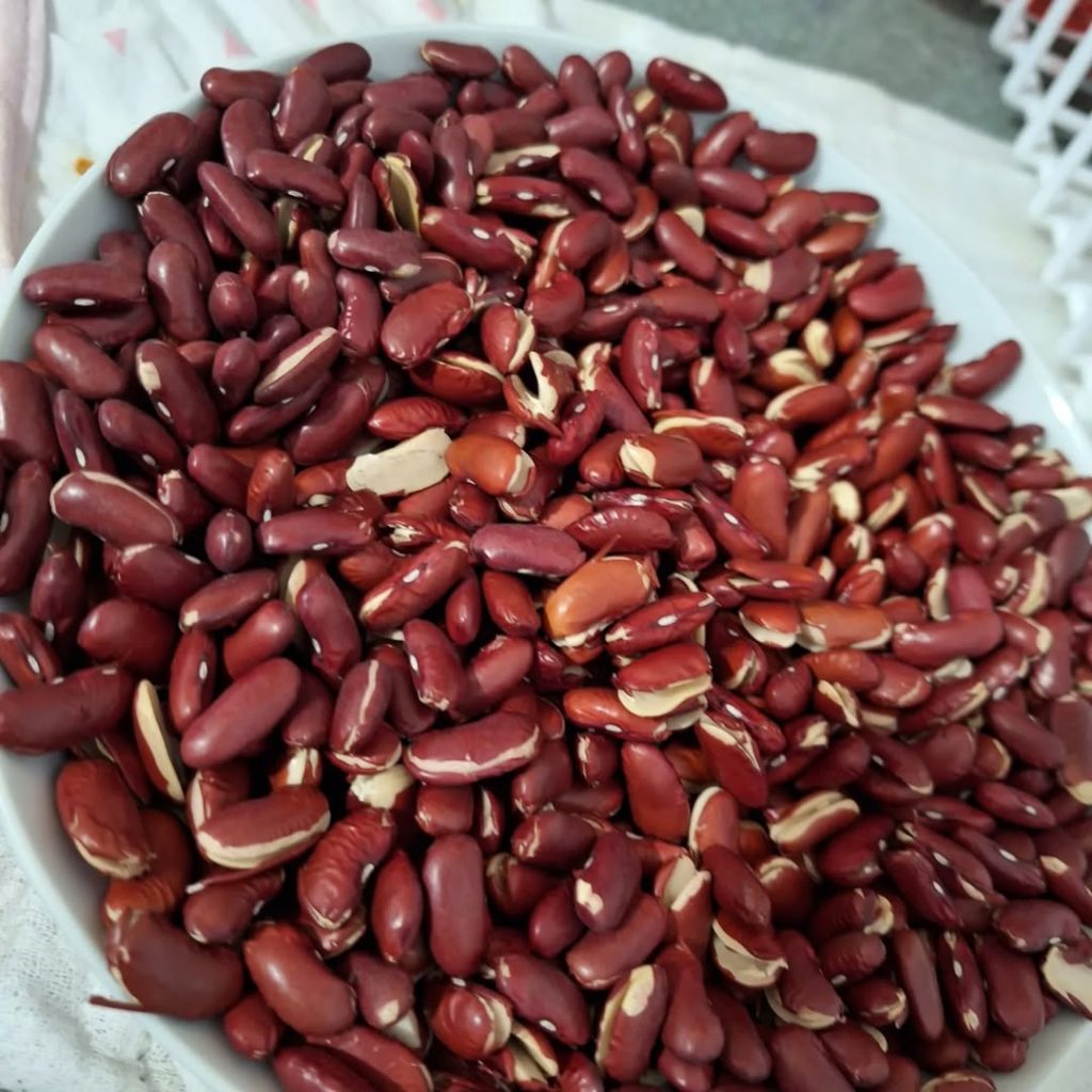 Segreti di Longevità: 5 Superfood Anti-Età da Inserire Subito nella Dieta