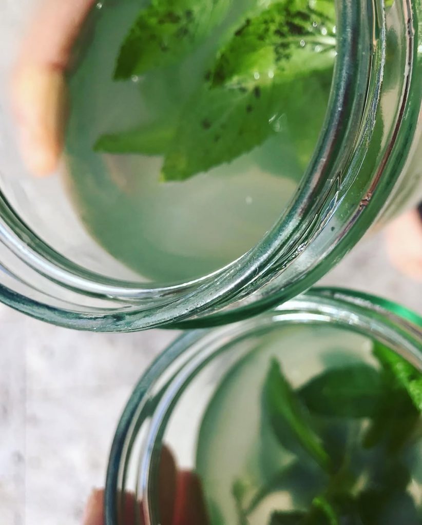 LeSun Detox Routine: il rituale quotidiano per sentirti al meglio